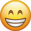 Ícono