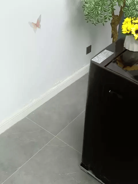 Encabezado