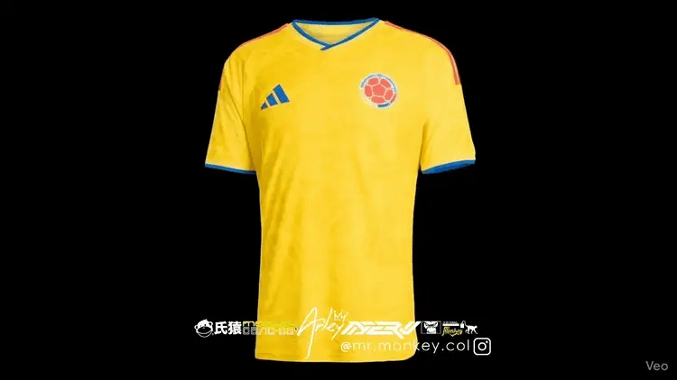 Vista 360 camiseta (GIF)